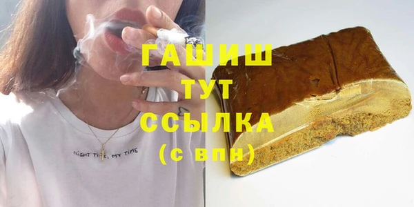 гидра Краснослободск