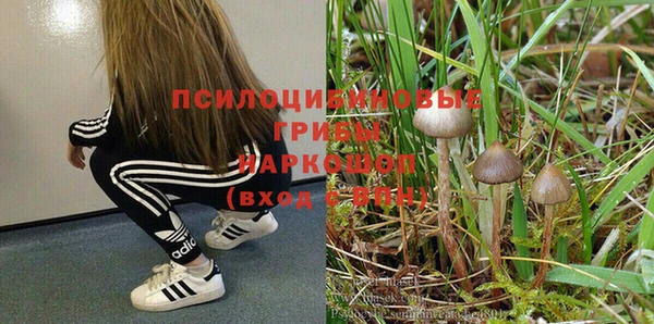 гидра Краснослободск