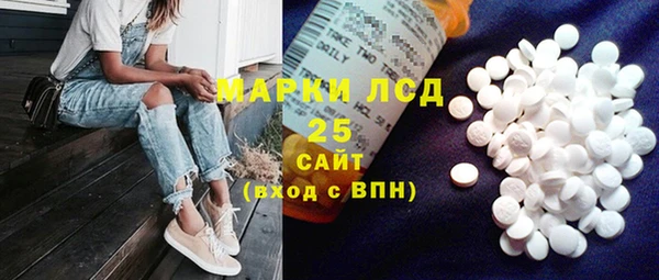 гидра Краснослободск