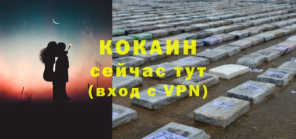 гидра Краснослободск